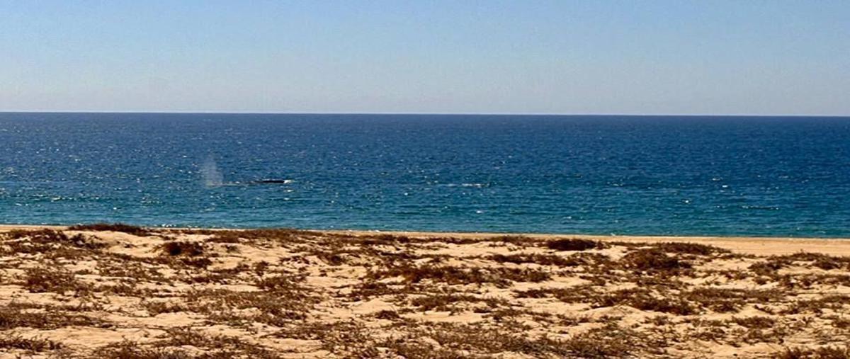 Foto de terreno habitacional en venta en  , san juan, la paz, baja california sur, 0 No. 05