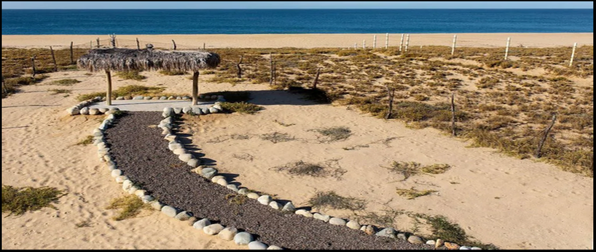 Foto de casa en , san juan, la paz, baja california sur, 0 foto 04 Foto de casa en venta en , san juan, la paz, baja california sur, 0 No. 04