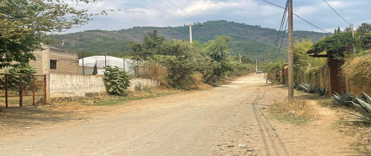 Foto de terreno habitacional en venta en  , san juan, malinalco, méxico, 26479900 No. 04