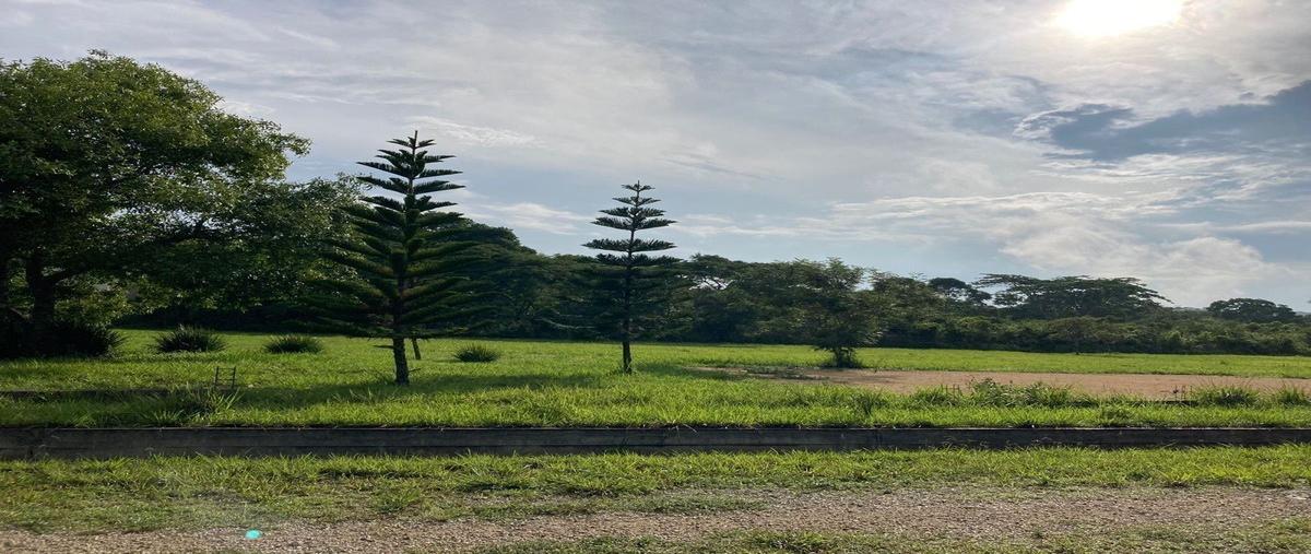 Foto de terreno habitacional en venta en  , san juan, ocozocoautla de espinosa, chiapas, 13206929 No. 01