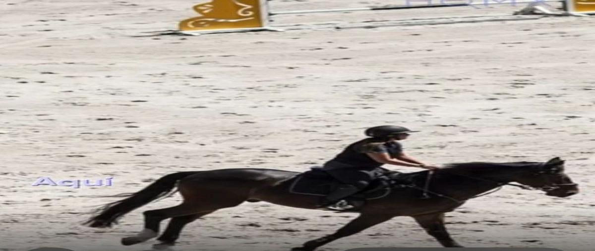 Foto de terreno habitacional en san juan , rancho san juan, atizapán de zaragoza, méxico, 0 foto 03 Foto de terreno habitacional en venta en san juan , rancho san juan, atizapán de zaragoza, méxico, 0 No. 03