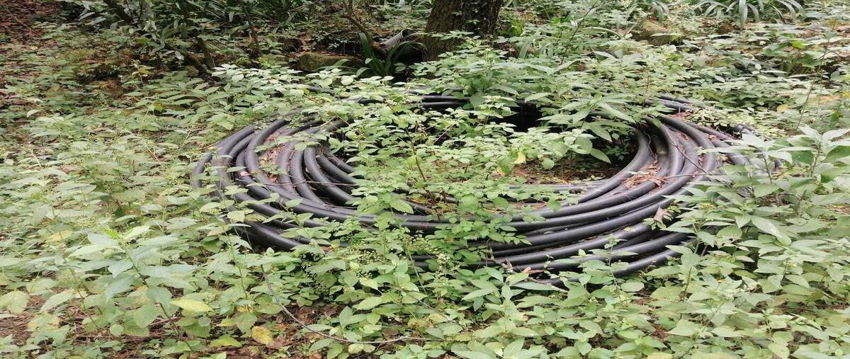 Foto de terreno habitacional en venta en san juan , san juan tlacotenco, tepoztlán, morelos, 0 No. 05