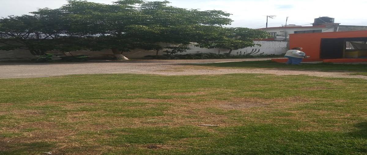 Foto de terreno comercial en venta en  , san juan, san mateo atenco, méxico, 24940956 No. 04