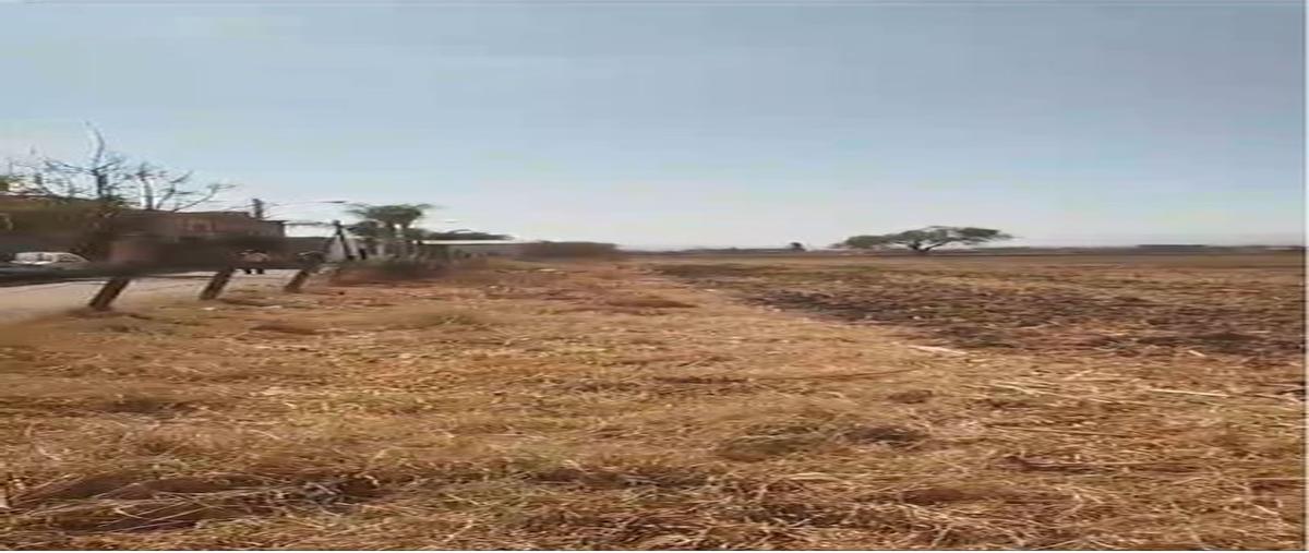 Foto de terreno comercial en venta en san juan , santa cruz del valle, tlajomulco de zúñiga, jalisco, 27719095 No. 03