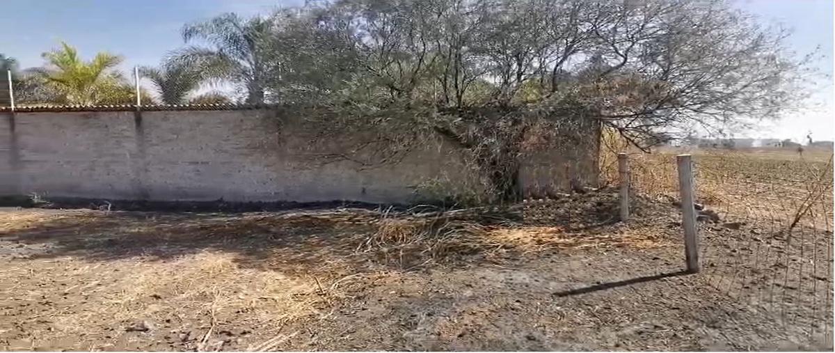 Foto de terreno comercial en venta en san juan , santa cruz del valle, tlajomulco de zúñiga, jalisco, 27719095 No. 05