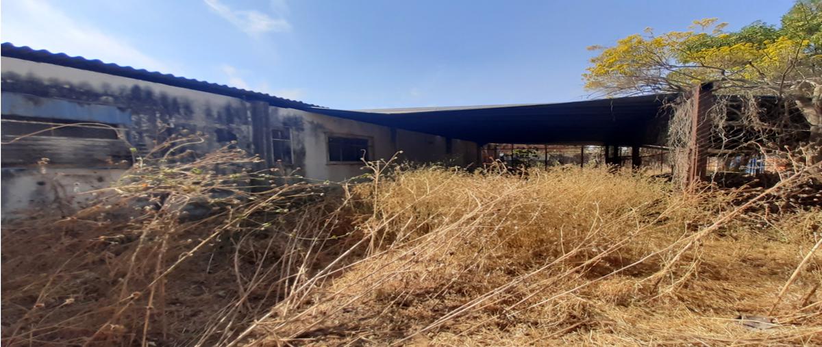 Foto de terreno habitacional en venta en  , san juan soto, puebla, puebla, 26203404 No. 04