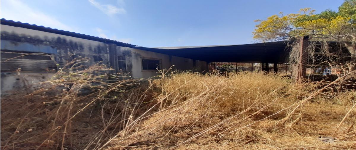 Foto de terreno habitacional en venta en  , san juan soto, puebla, puebla, 0 No. 04