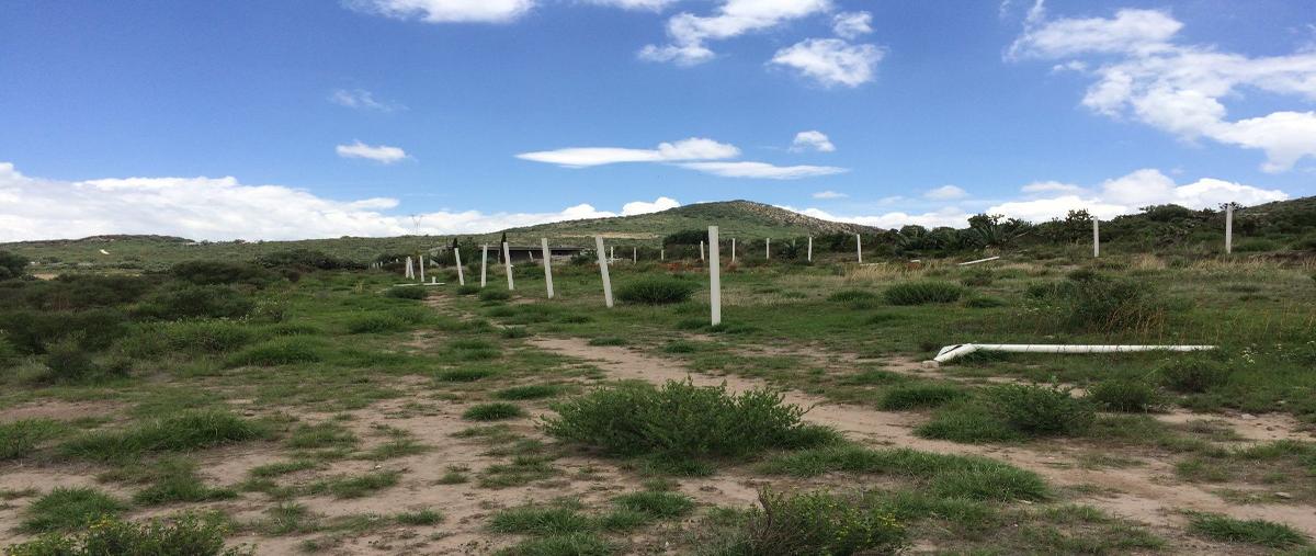Foto de terreno habitacional en venta en  , san juan tizahuapan, epazoyucan, hidalgo, 14071826 No. 01