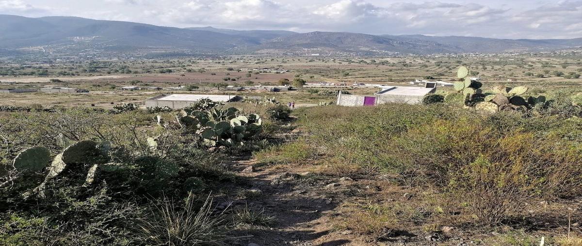 Foto de terreno habitacional en venta en  , san juan tizahuapan, epazoyucan, hidalgo, 14071826 No. 03