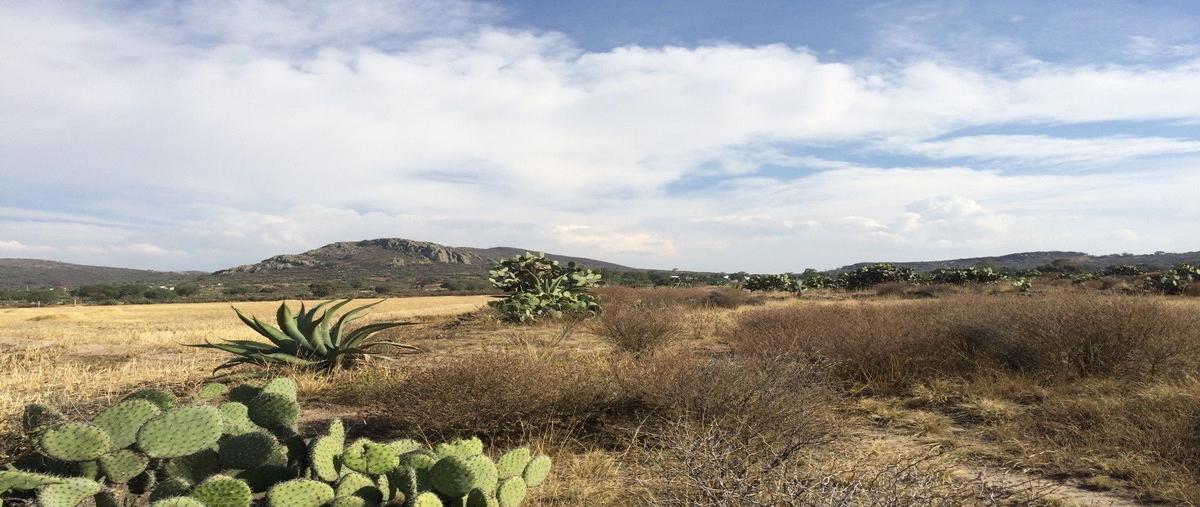 Foto de terreno habitacional en venta en  , san juan tizahuapan, epazoyucan, hidalgo, 4670492 No. 02