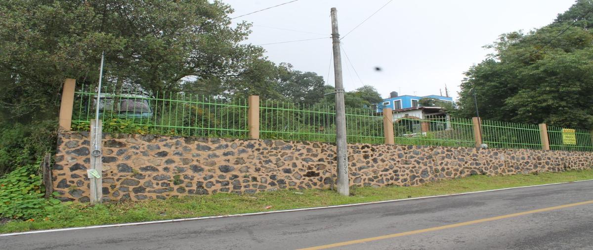 Foto de casa en venta en  , san juan tlacotenco, tepoztlán, morelos, 0 No. 03