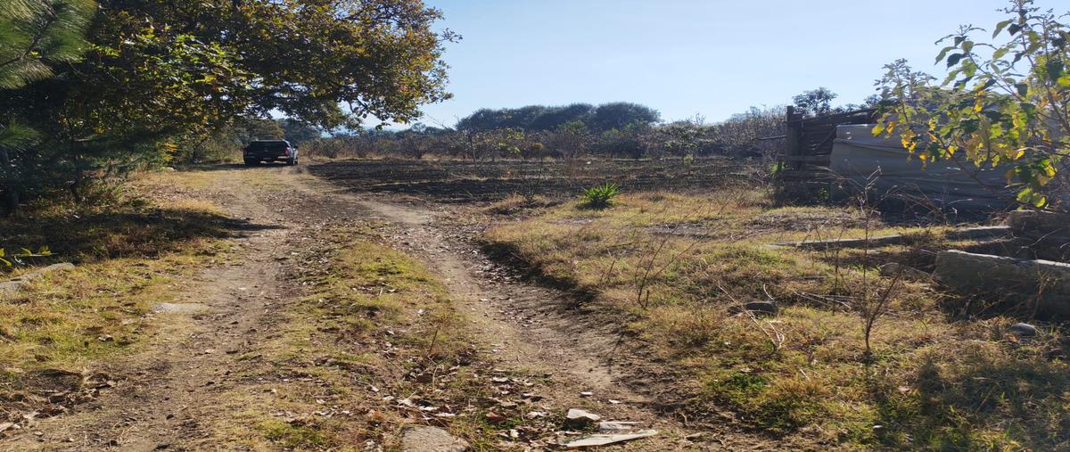 Foto de terreno comercial en venta en san juan tlale , san felipe teotlalcingo, san felipe teotlalcingo, puebla, 31146906 No. 03