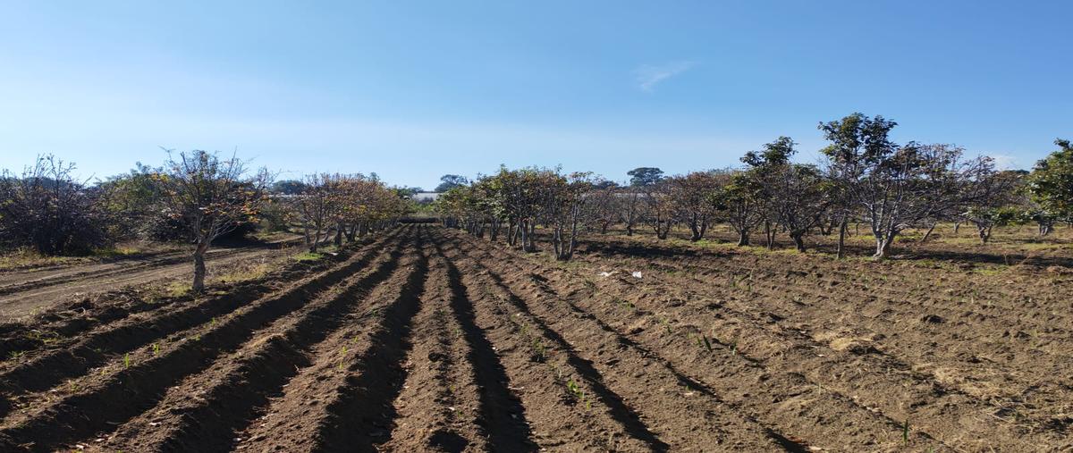 Foto de terreno comercial en venta en san juan tlale , san felipe teotlalcingo, san felipe teotlalcingo, puebla, 31146906 No. 04