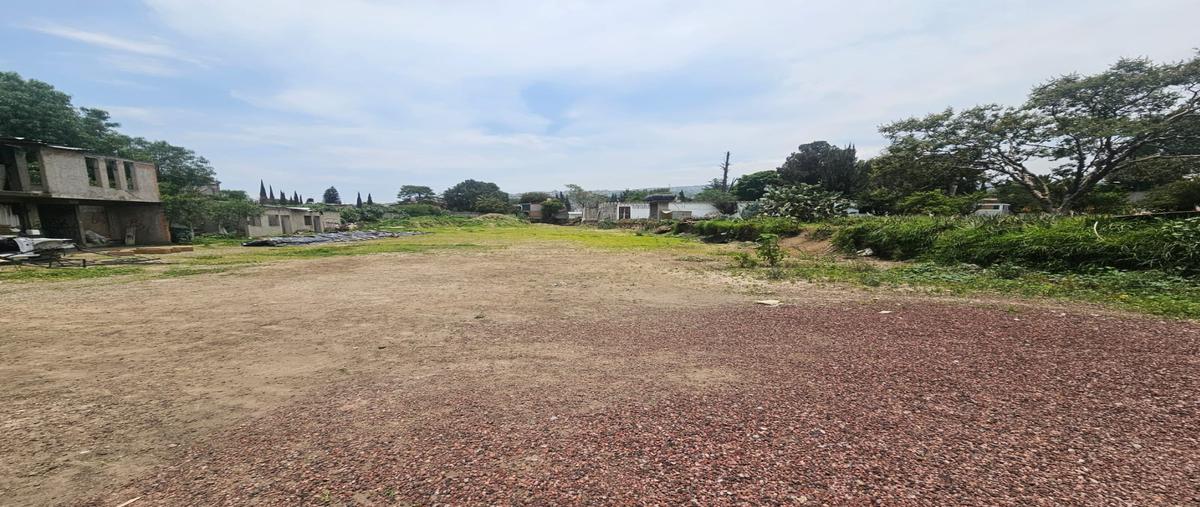 Foto de terreno habitacional en renta en  , san juan tlalpizahuac, ixtapaluca, méxico, 0 No. 03