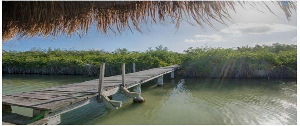 Foto de casa en , san juan, tulum, quintana roo, 27077194 foto 05 Foto de casa en venta en , san juan, tulum, quintana roo, 27077194 No. 05