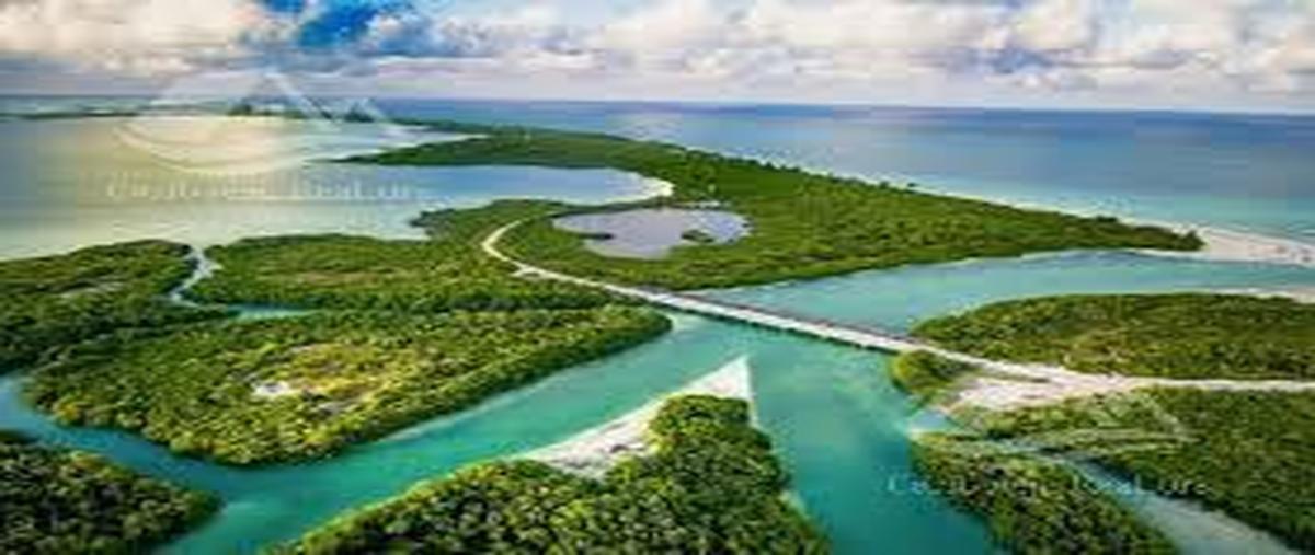 Foto de terreno habitacional en venta en  , san juan, tulum, quintana roo, 27913363 No. 04