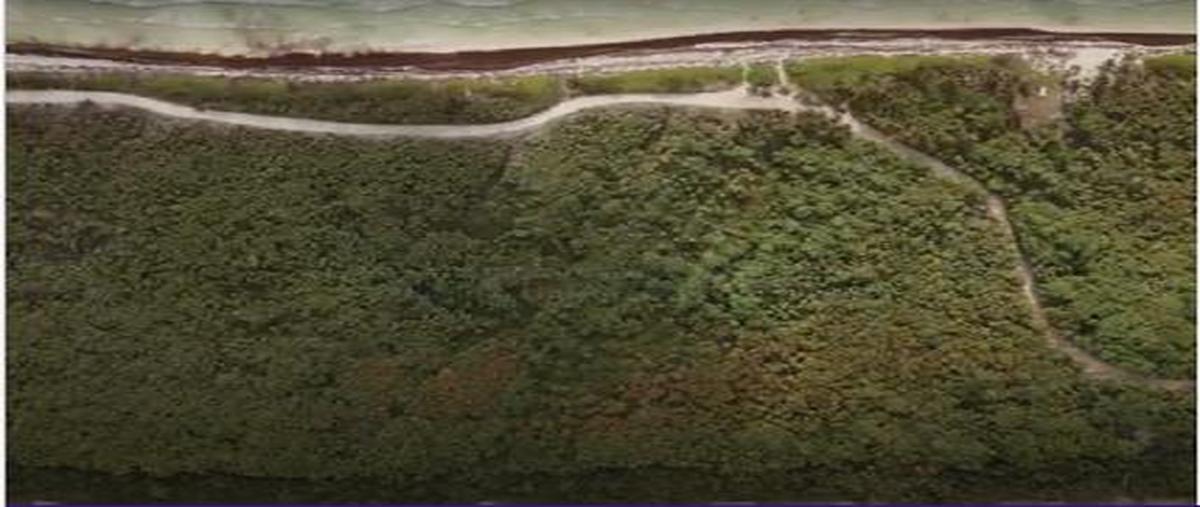 Foto de terreno habitacional en venta en  , san juan, tulum, quintana roo, 28619428 No. 04