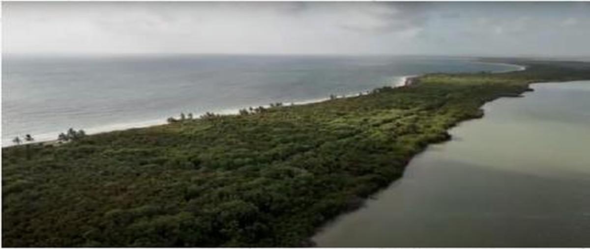 Foto de terreno habitacional en venta en  , san juan, tulum, quintana roo, 28619428 No. 05