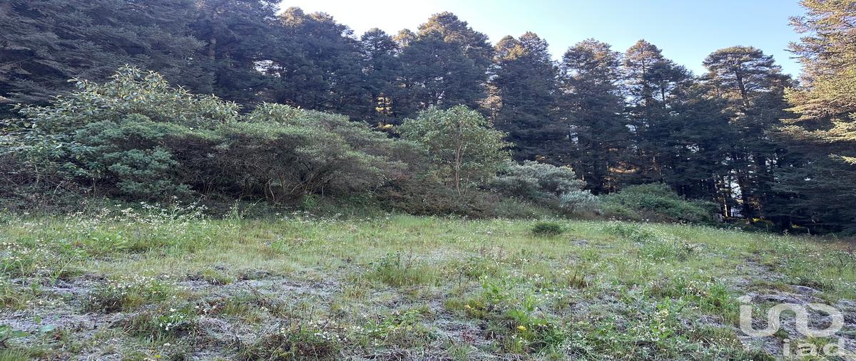 Foto de terreno habitacional en venta en san juan yautepec kilometro 1.5 , la cañada, huixquilucan, méxico, 0 No. 05