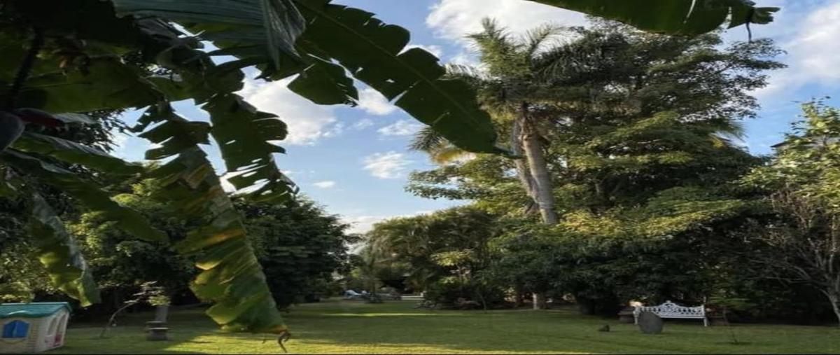 Foto de casa en renta en  , san juan, yautepec, morelos, 0 No. 03