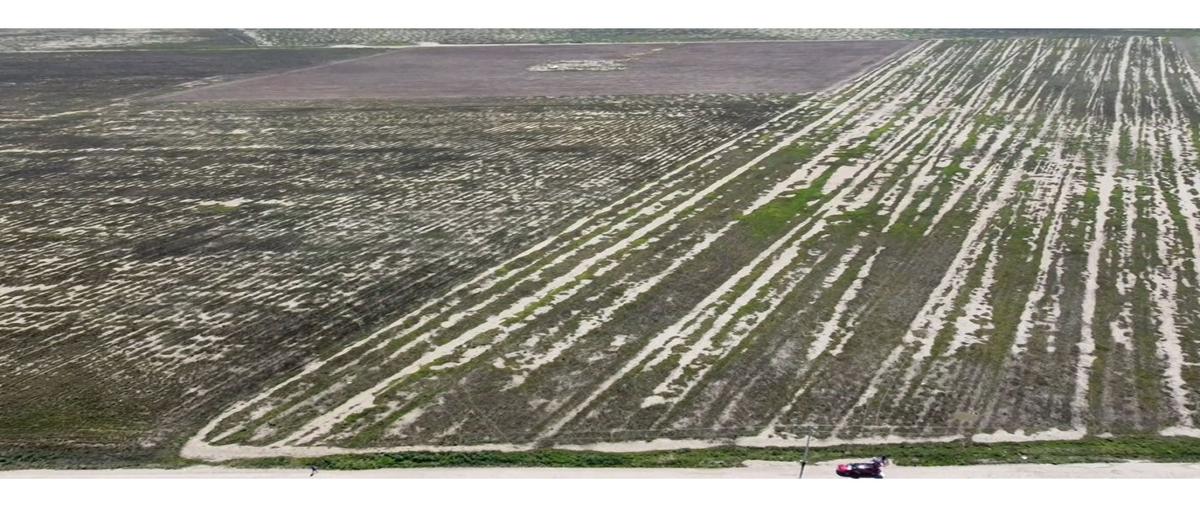 Foto de terreno habitacional en venta en  , san juanito de los valdez, arteaga, coahuila de zaragoza, 27445111 No. 03