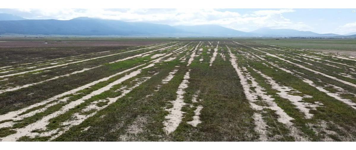 Foto de terreno habitacional en venta en  , san juanito de los valdez, arteaga, coahuila de zaragoza, 27445111 No. 04