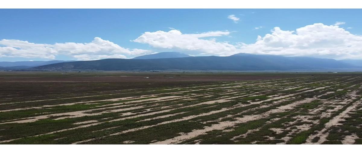 Foto de terreno habitacional en venta en  , san juanito de los valdez, arteaga, coahuila de zaragoza, 27445111 No. 05