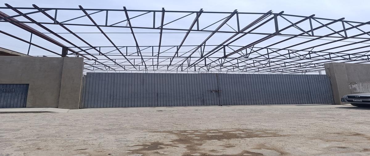 Foto de bodega en renta en san judas , las pintas de abajo, san pedro tlaquepaque, jalisco, 29490173 No. 03