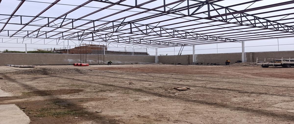 Foto de bodega en renta en san judas , las pintas de abajo, san pedro tlaquepaque, jalisco, 29490173 No. 04