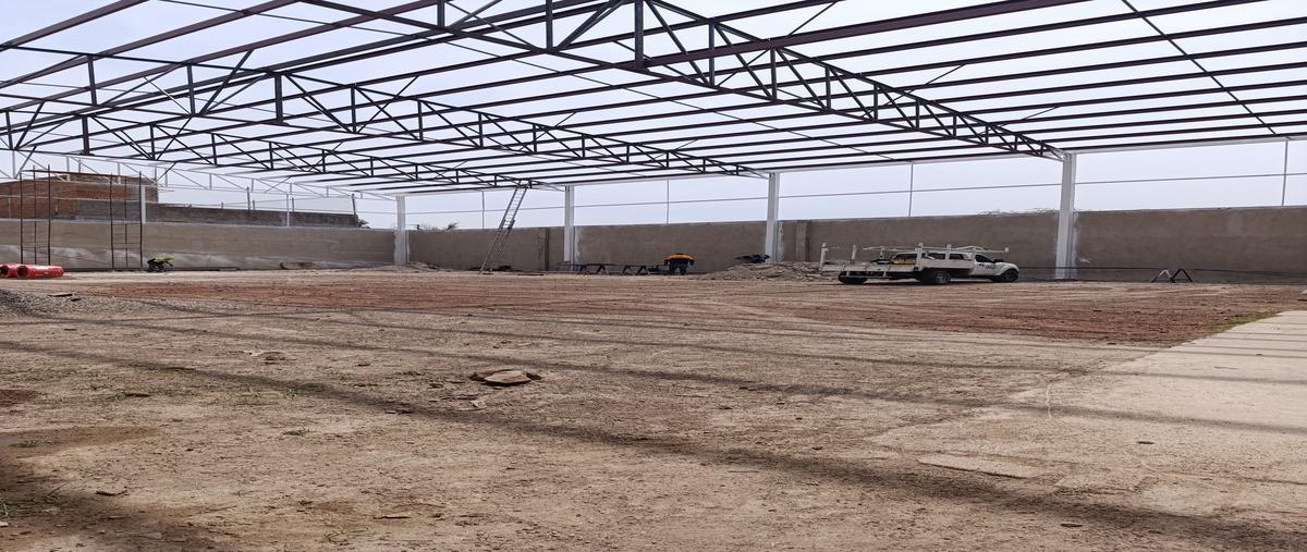 Foto de bodega en renta en san judas , las pintas de abajo, san pedro tlaquepaque, jalisco, 29490173 No. 05