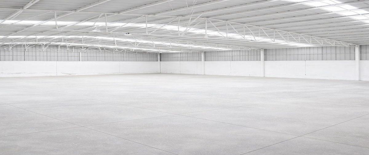 Foto de bodega en renta en san judas , las pintas de abajo, san pedro tlaquepaque, jalisco, 30865326 No. 05