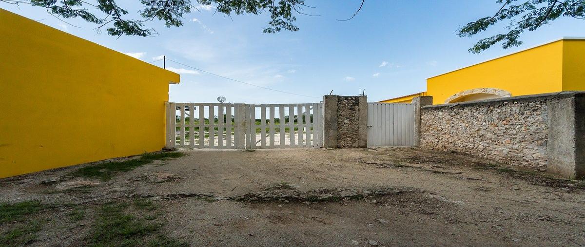 Foto de rancho en san julian , dzemul, dzemul, yucatán, 0 foto 02 Foto de rancho en venta en san julian , dzemul, dzemul, yucatán, 0 No. 02