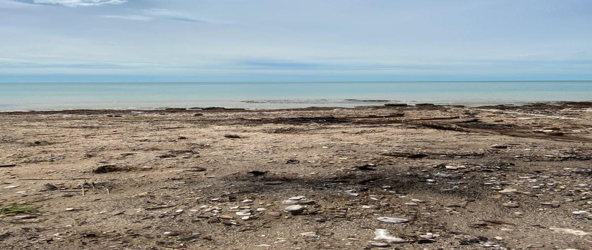 Foto de terreno habitacional en san lorenzo , 18 de marzo, campeche, campeche, 30293502 foto 02 Foto de terreno habitacional en venta en san lorenzo , 18 de marzo, campeche, campeche, 30293502 No. 02