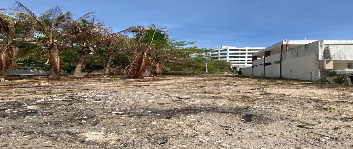 Foto de terreno habitacional en san lorenzo , 18 de marzo, campeche, campeche, 30293502 foto 03 Foto de terreno habitacional en venta en san lorenzo , 18 de marzo, campeche, campeche, 30293502 No. 03