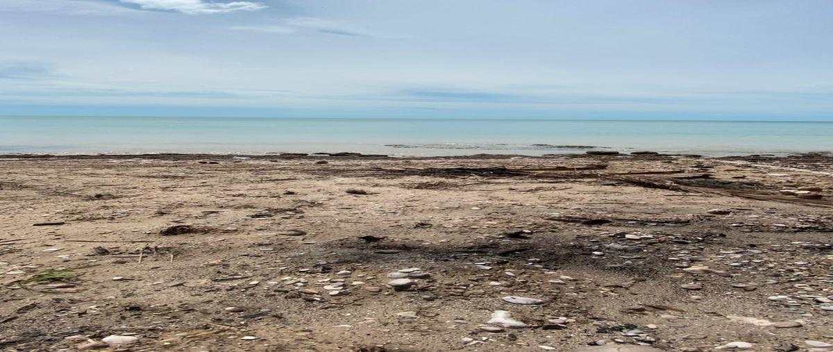 Foto de terreno habitacional en san lorenzo , 18 de marzo, campeche, campeche, 30293502 foto 04 Foto de terreno habitacional en venta en san lorenzo , 18 de marzo, campeche, campeche, 30293502 No. 04