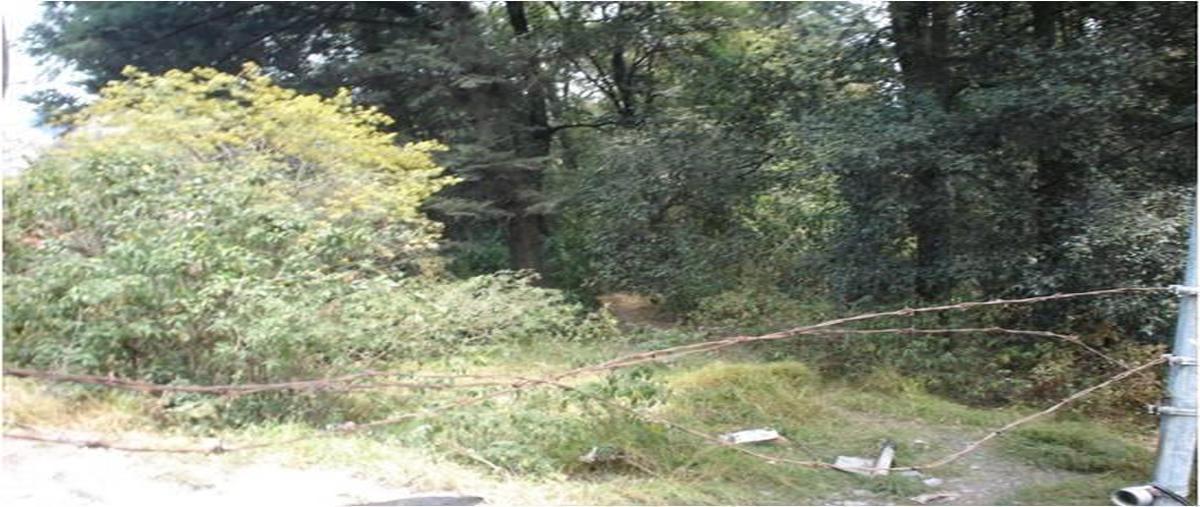 Foto de terreno habitacional en venta en  , san lorenzo acopilco, cuajimalpa de morelos, df / cdmx, 10784735 No. 01