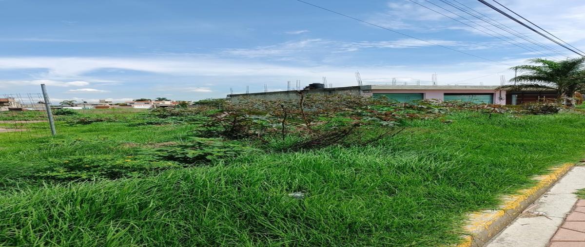 Foto de terreno habitacional en renta en  , san lorenzo almecatla, cuautlancingo, puebla, 0 No. 04
