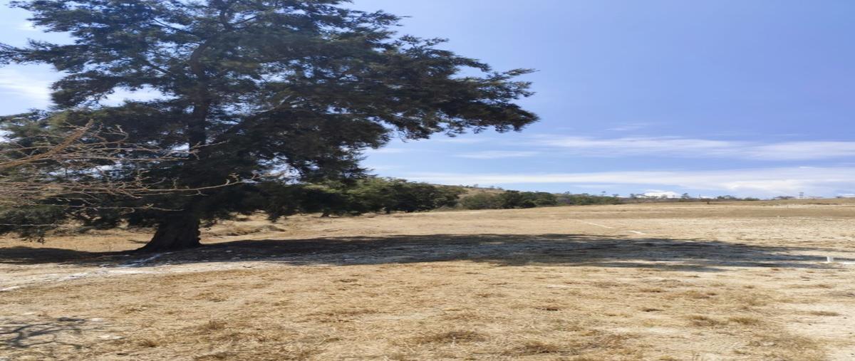 Foto de terreno habitacional en , san lorenzo cacaotepec, san lorenzo cacaotepec, oaxaca, 0 foto 02 Foto de terreno habitacional en venta en , san lorenzo cacaotepec, san lorenzo cacaotepec, oaxaca, 0 No. 02