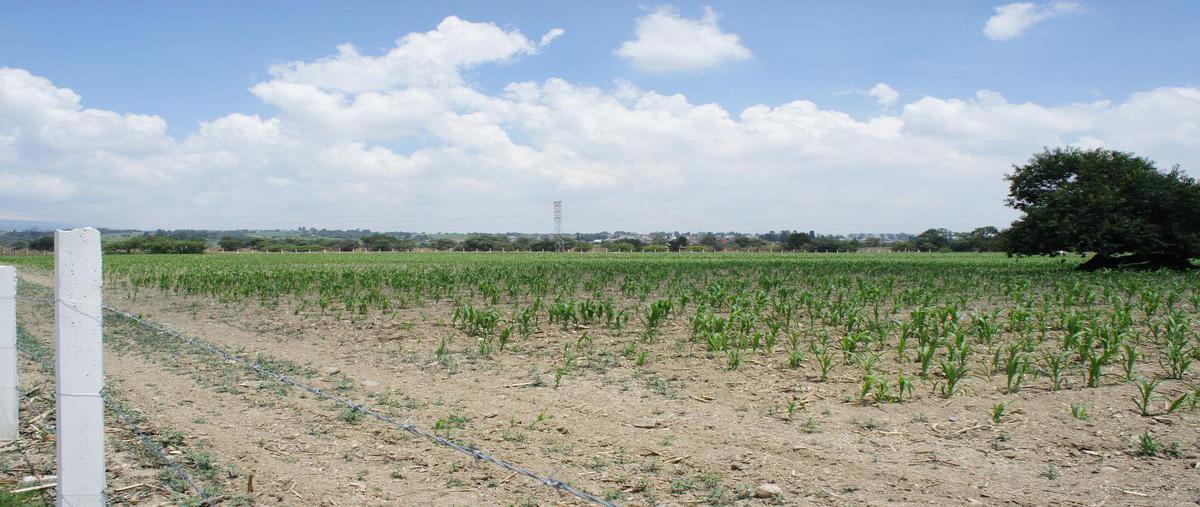 Foto de terreno habitacional en venta en  , san lorenzo cuauhtenco, calimaya, méxico, 14822648 No. 03