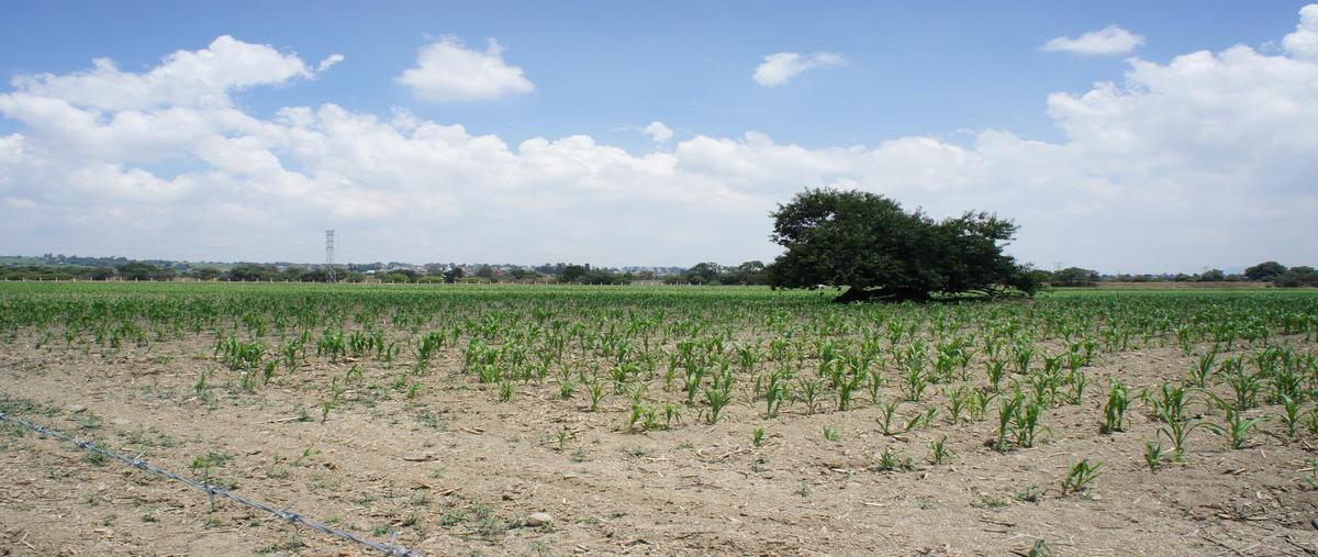Foto de terreno habitacional en venta en  , san lorenzo cuauhtenco, calimaya, méxico, 14822648 No. 04