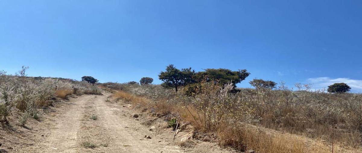 Foto de terreno comercial en venta en san lorenzo , jardines de santa anita, tlajomulco de zúñiga, jalisco, 26390080 No. 03