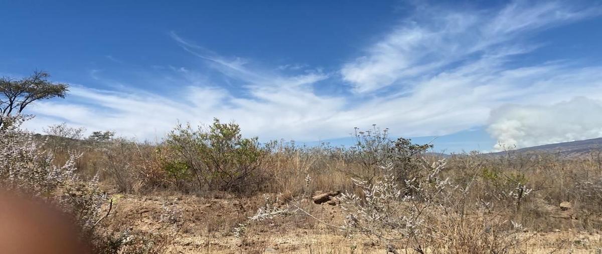 Foto de terreno comercial en venta en san lorenzo , jardines de santa anita, tlajomulco de zúñiga, jalisco, 26390080 No. 05