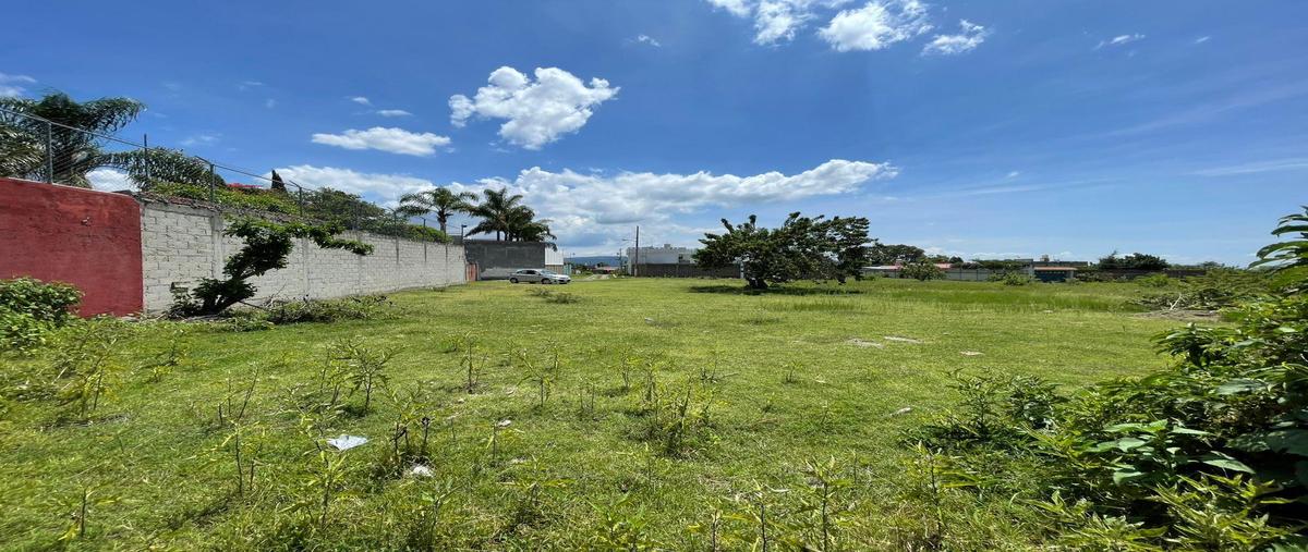 Foto de terreno habitacional en venta en  , san lorenzo los jagüeyes, atlixco, puebla, 30348149 No. 03