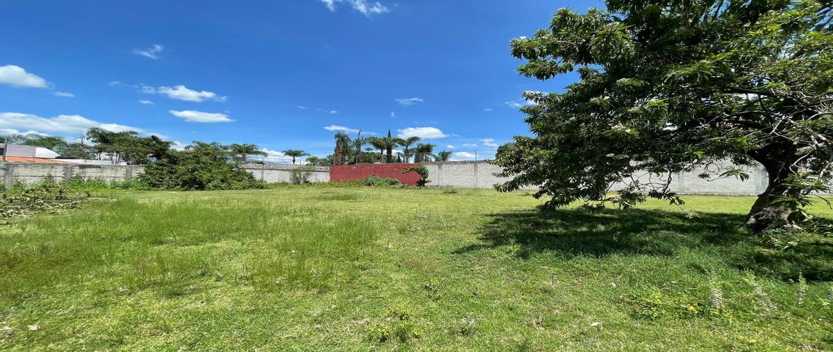 Foto de terreno habitacional en venta en  , san lorenzo los jagüeyes, atlixco, puebla, 30348149 No. 05