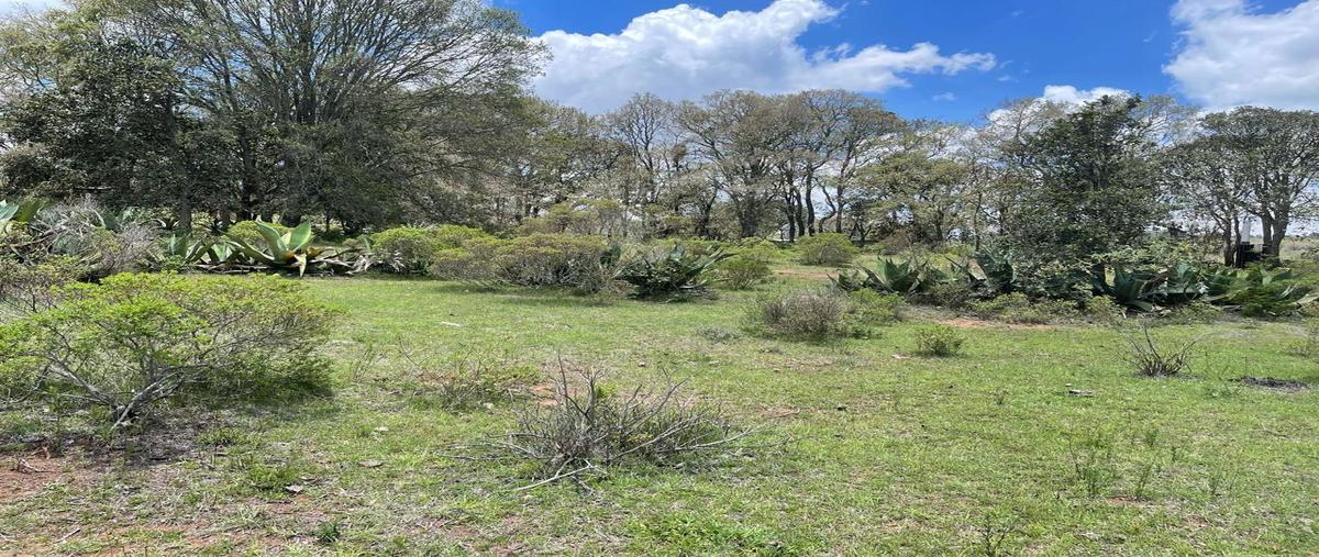 Foto de terreno habitacional en venta en  , san lorenzo nenamicoyan, jilotepec, méxico, 28183675 No. 03
