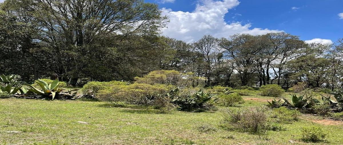 Foto de terreno habitacional en venta en  , san lorenzo nenamicoyan, jilotepec, méxico, 28183675 No. 05