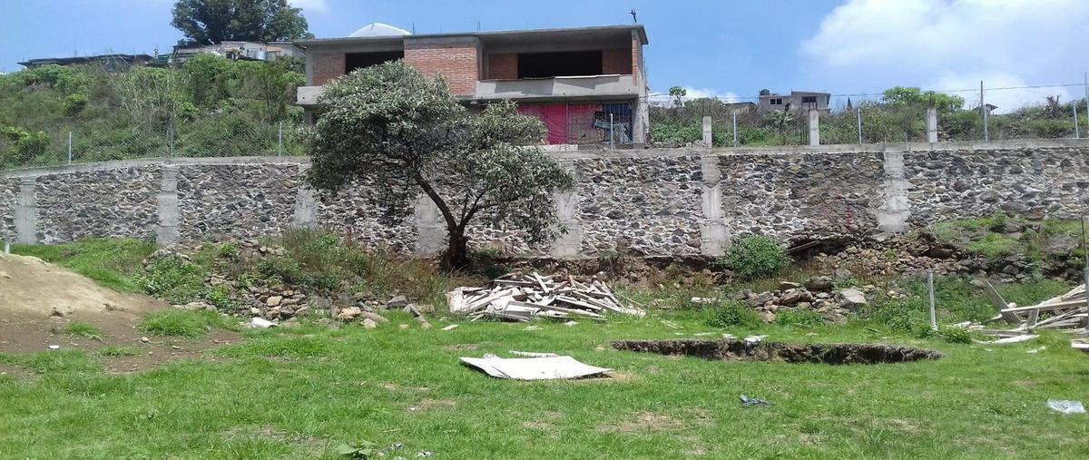 Foto de terreno habitacional en san lorenzo , san lorenzo tlacoyucan, milpa alta, df / cdmx, 28891447 foto 03 Foto de terreno habitacional en venta en san lorenzo , san lorenzo tlacoyucan, milpa alta, df / cdmx, 28891447 No. 03