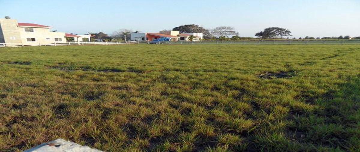 Foto de terreno habitacional en venta en  , san lorenzo, tampico alto, veracruz de ignacio de la llave, 7248039 No. 02
