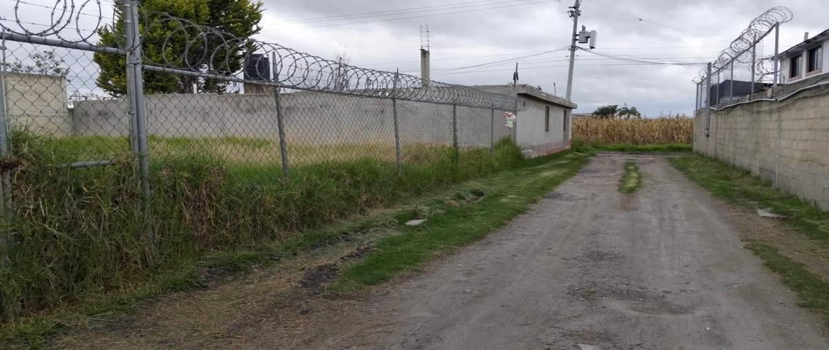 Foto de terreno habitacional en venta en  , san lorenzo tepaltitlán centro, toluca, méxico, 30190044 No. 03