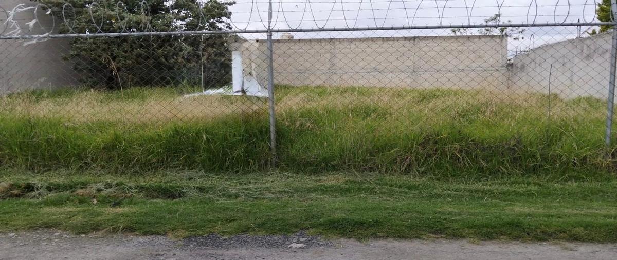 Foto de terreno habitacional en venta en  , san lorenzo tepaltitlán centro, toluca, méxico, 30190044 No. 04